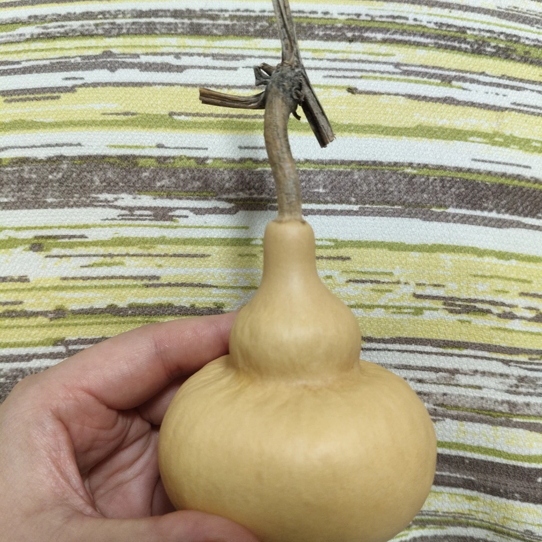 实物实拍卡8.3下肚卡7满籽稳坐抽