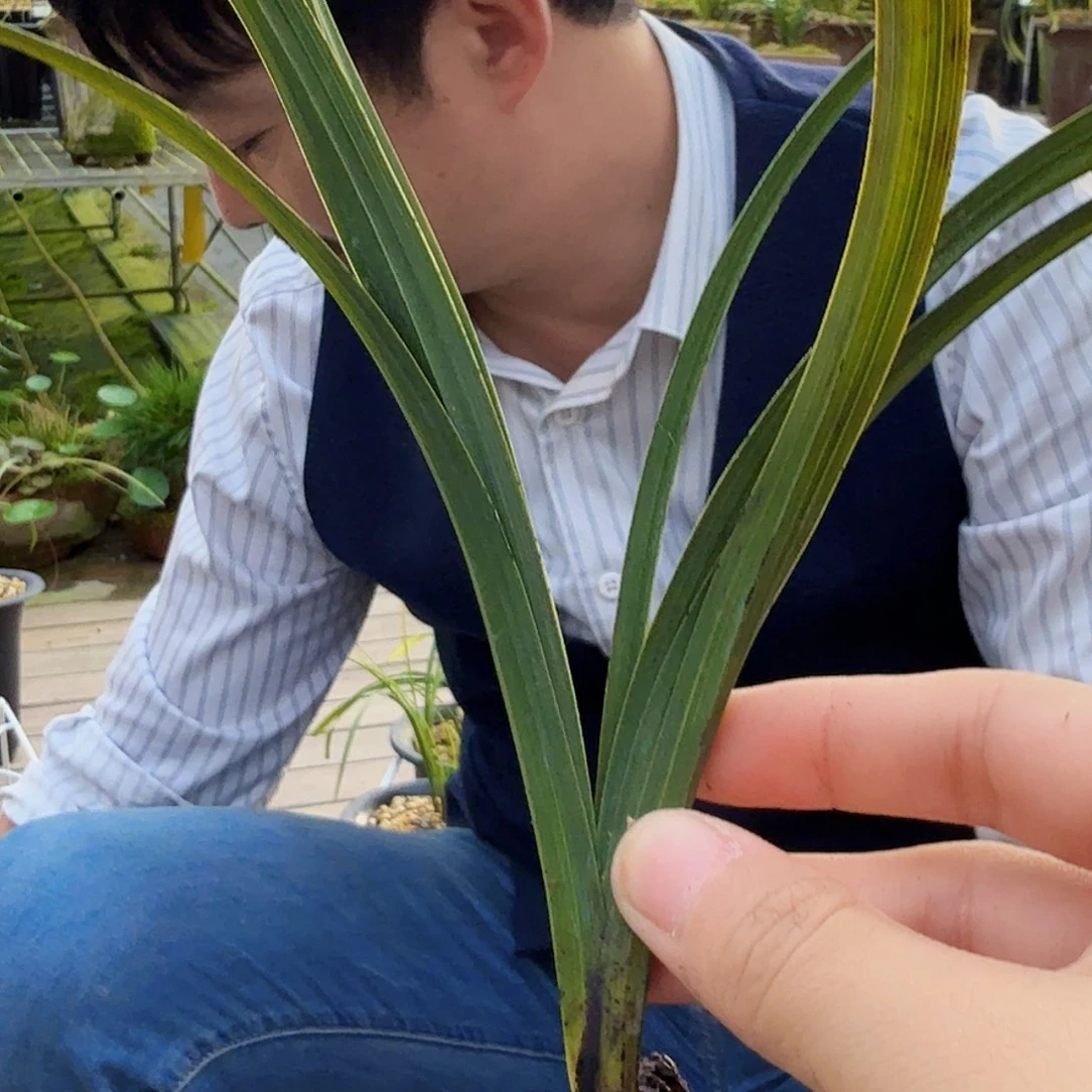 佳***修完全开放无售后1234567890