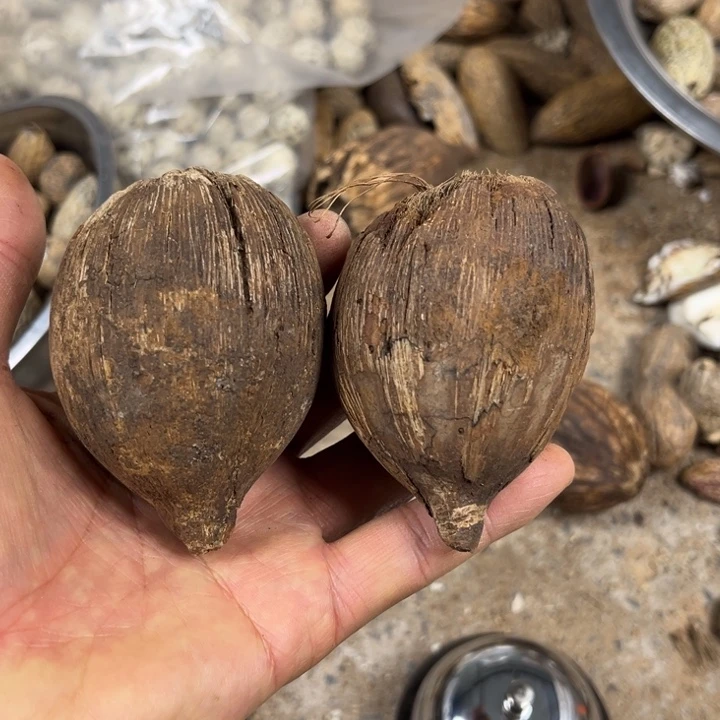 吊坠千眼菩提库克一对，46 号。