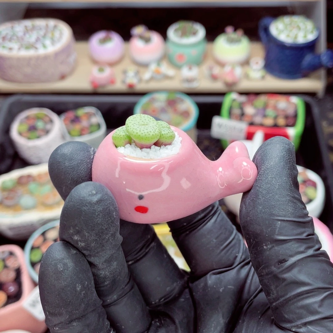 夜间零下地区拍保温箱w3325