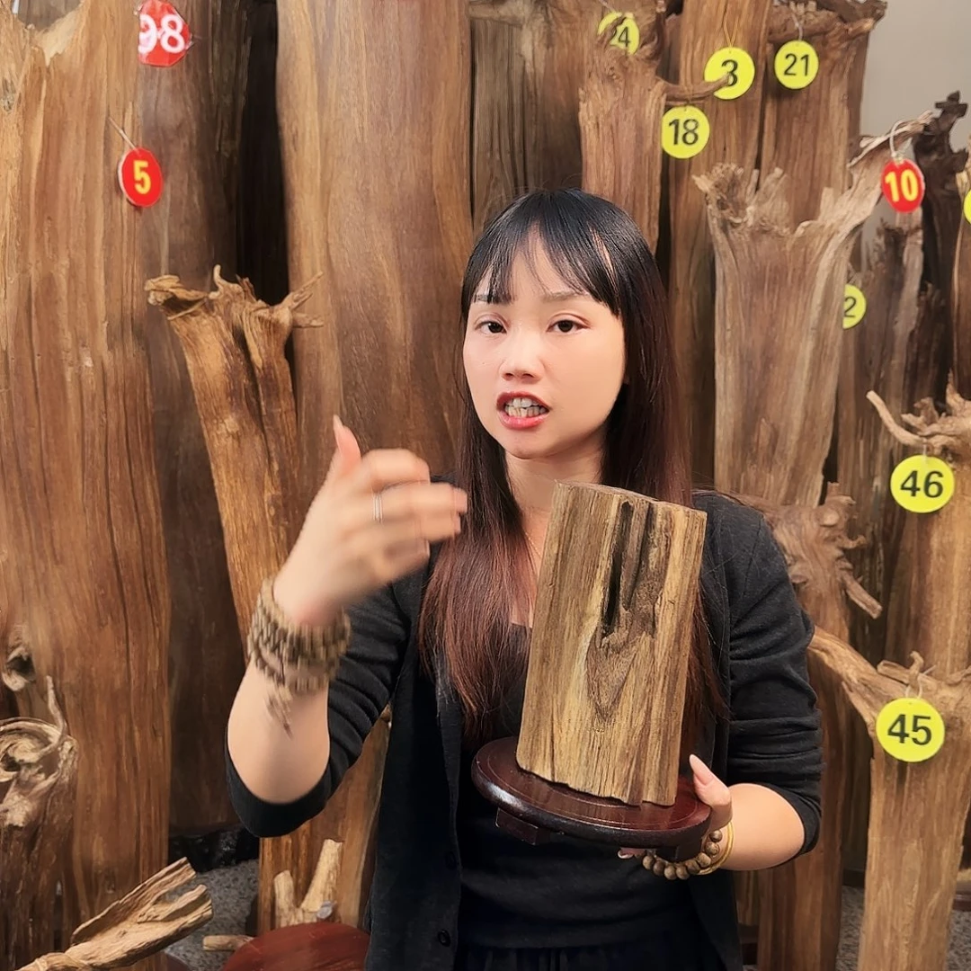 沉香碎屑沉香沉香原材料➕底座