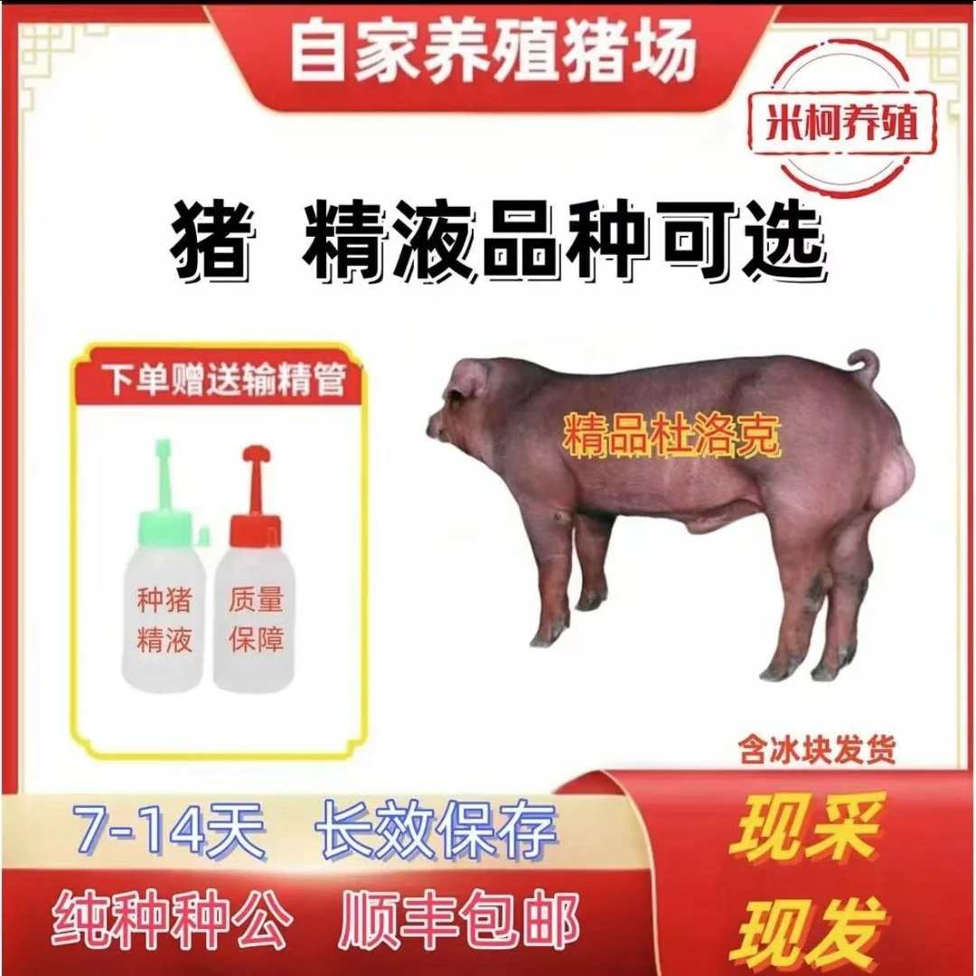 杜洛克种公精液瓶一件包邮包对版生态养殖批发输精管猪用耗材