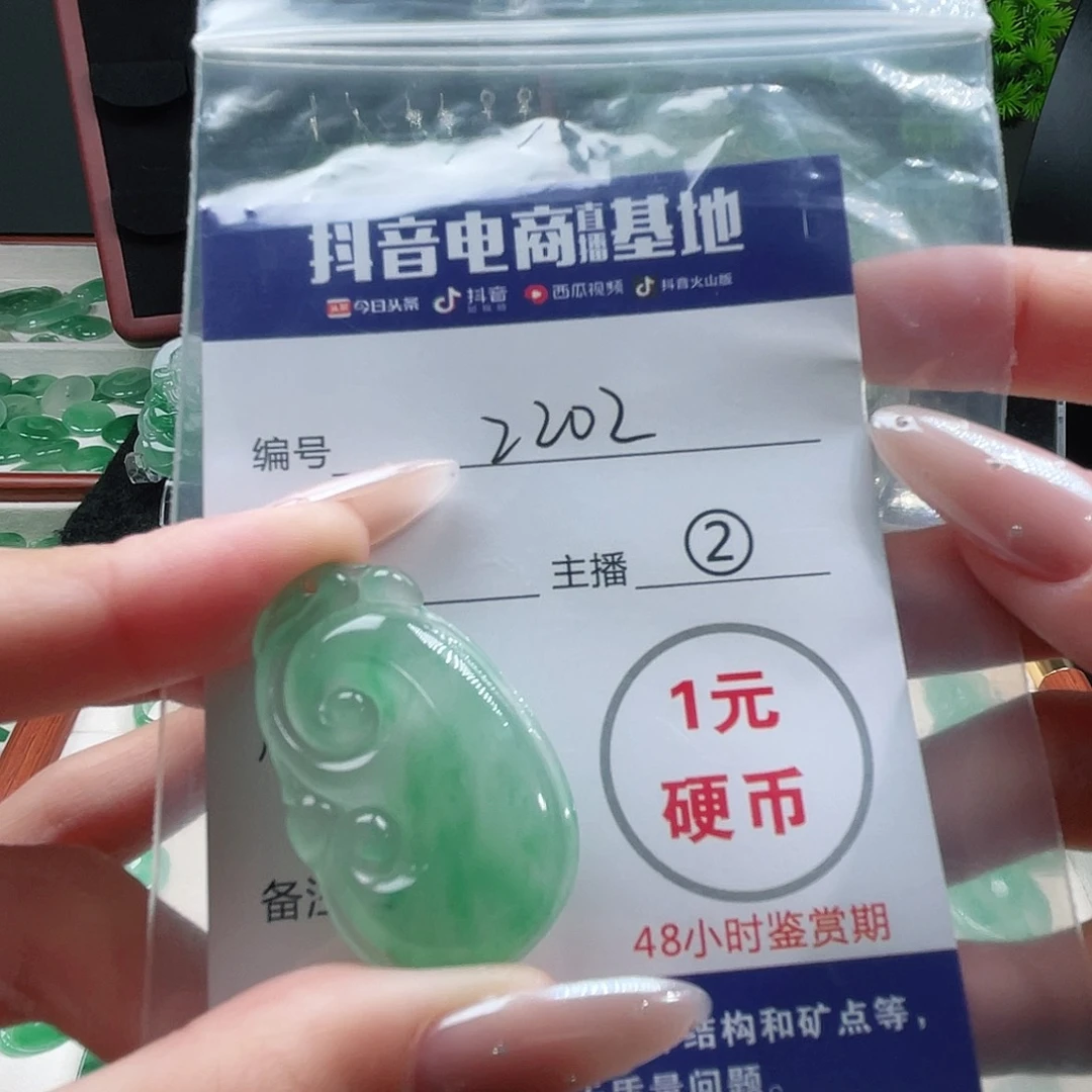 石英质玉未镶嵌颈饰