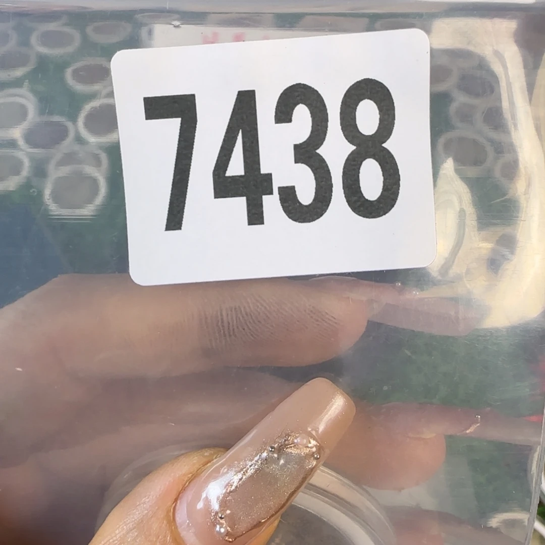 新号开播福利多多