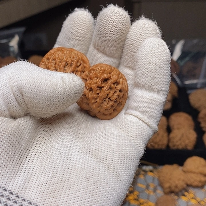 文玩核桃把件蓝*颜秦岭秦闷