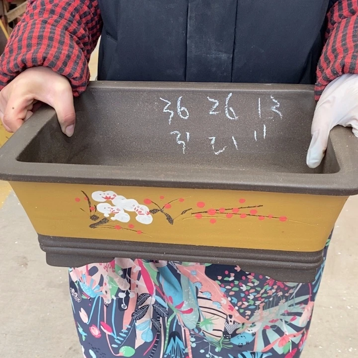 紫砂花盆只顾吃药睡