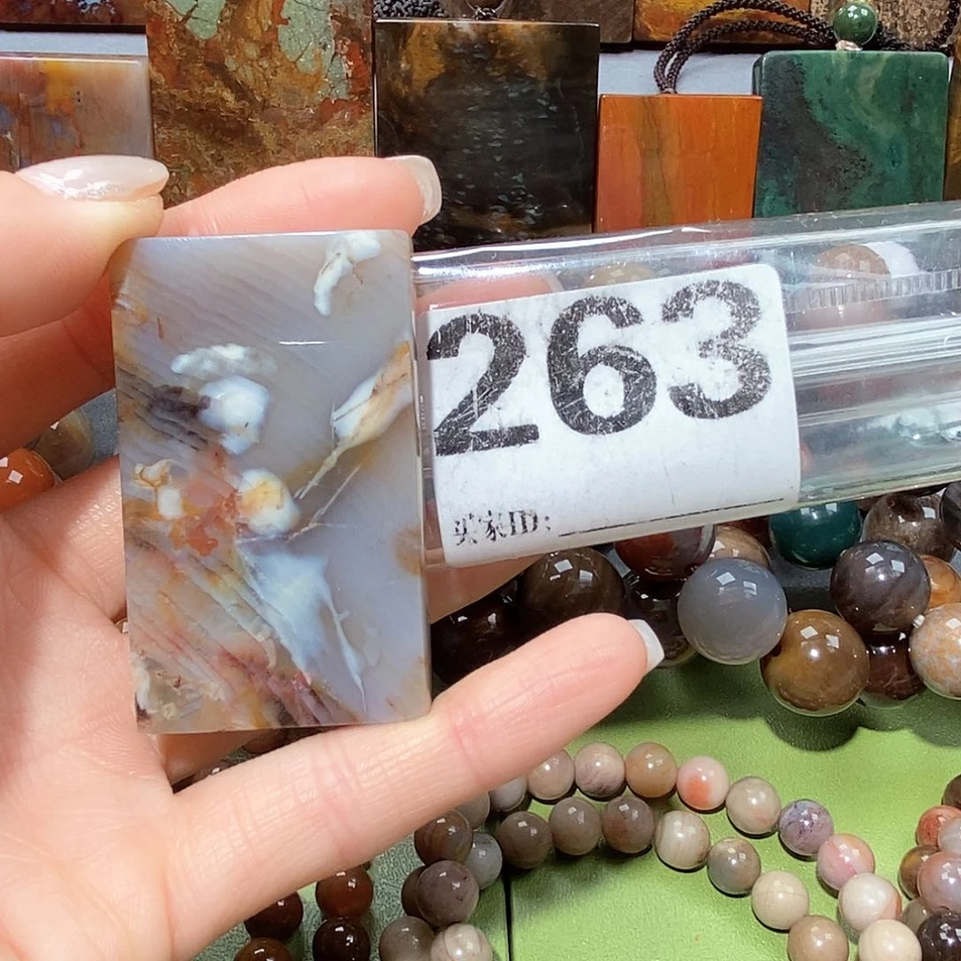 未镶嵌天然北票树化玉吊坠硅化玉