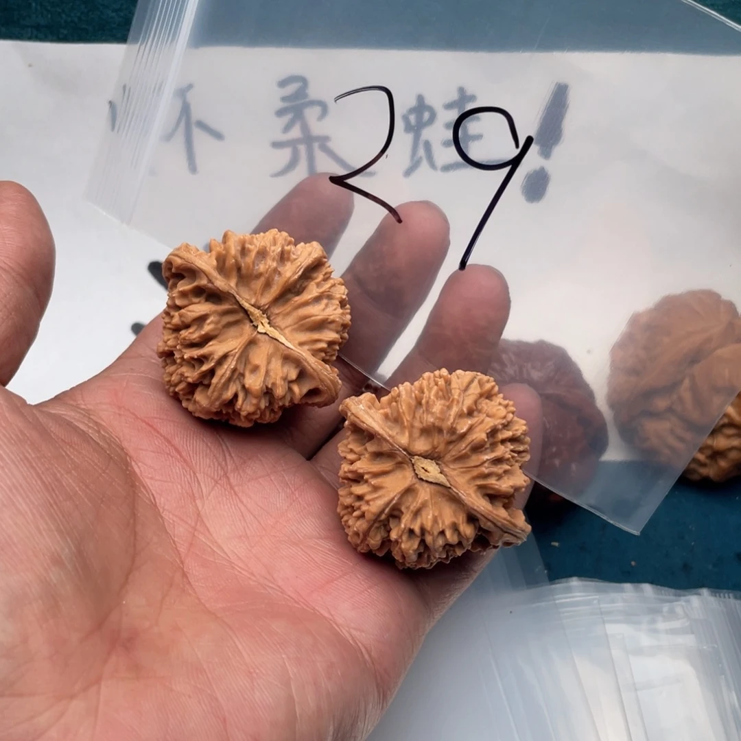 核桃7355737535335775537753