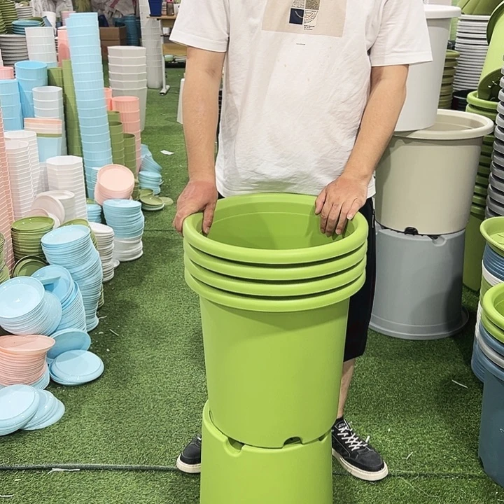 四季8号特价果绿色5个无托