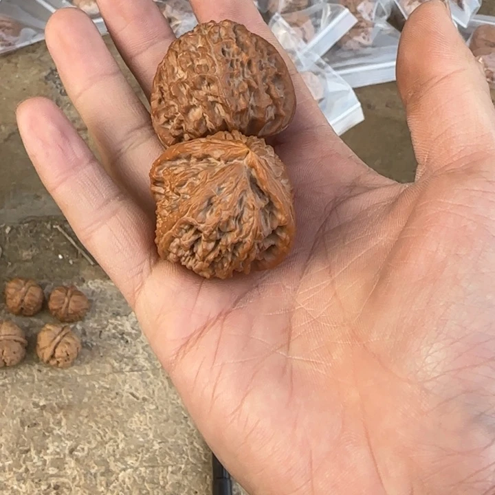 m***把件文玩核桃白狮子