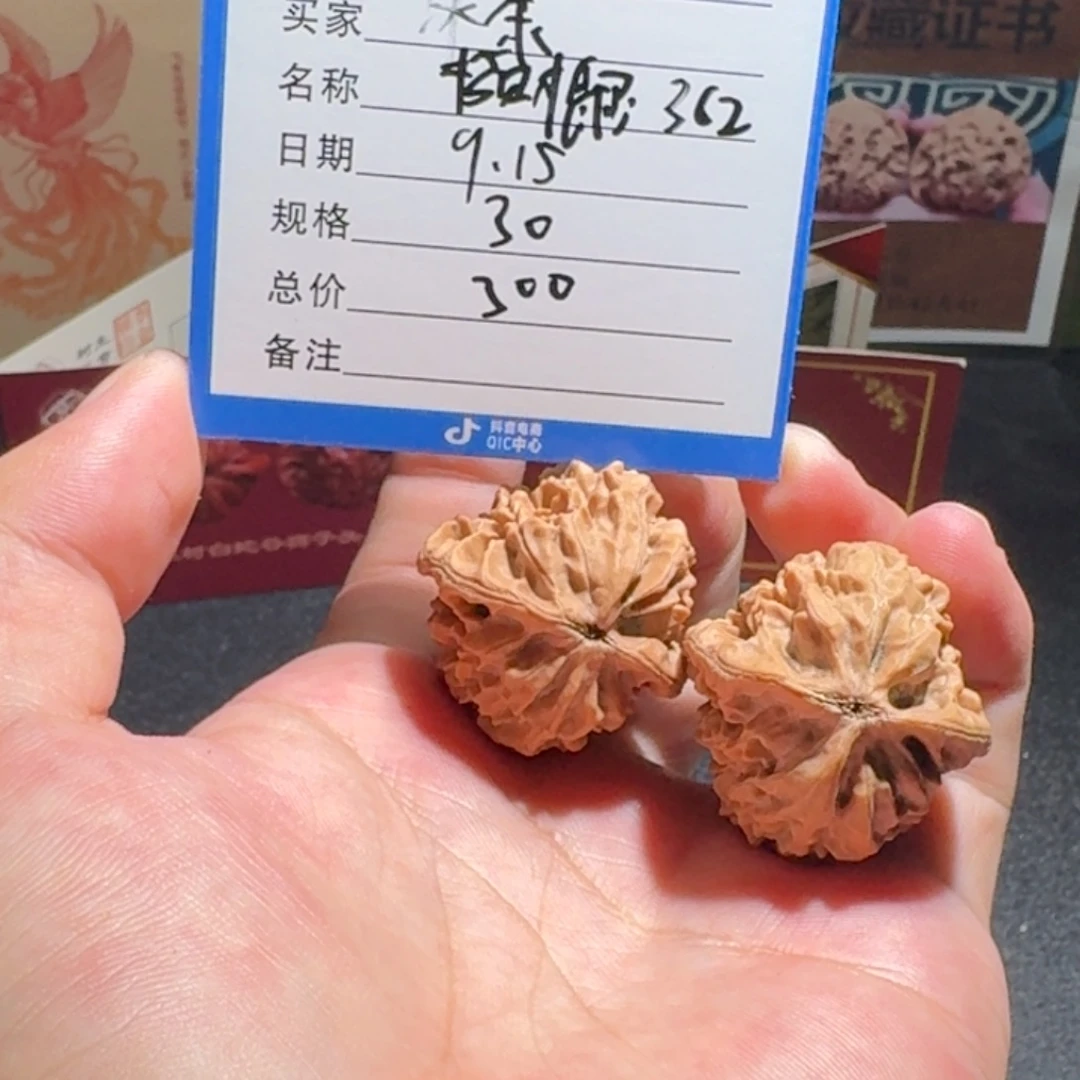 冰***茶原树招财树编号362
