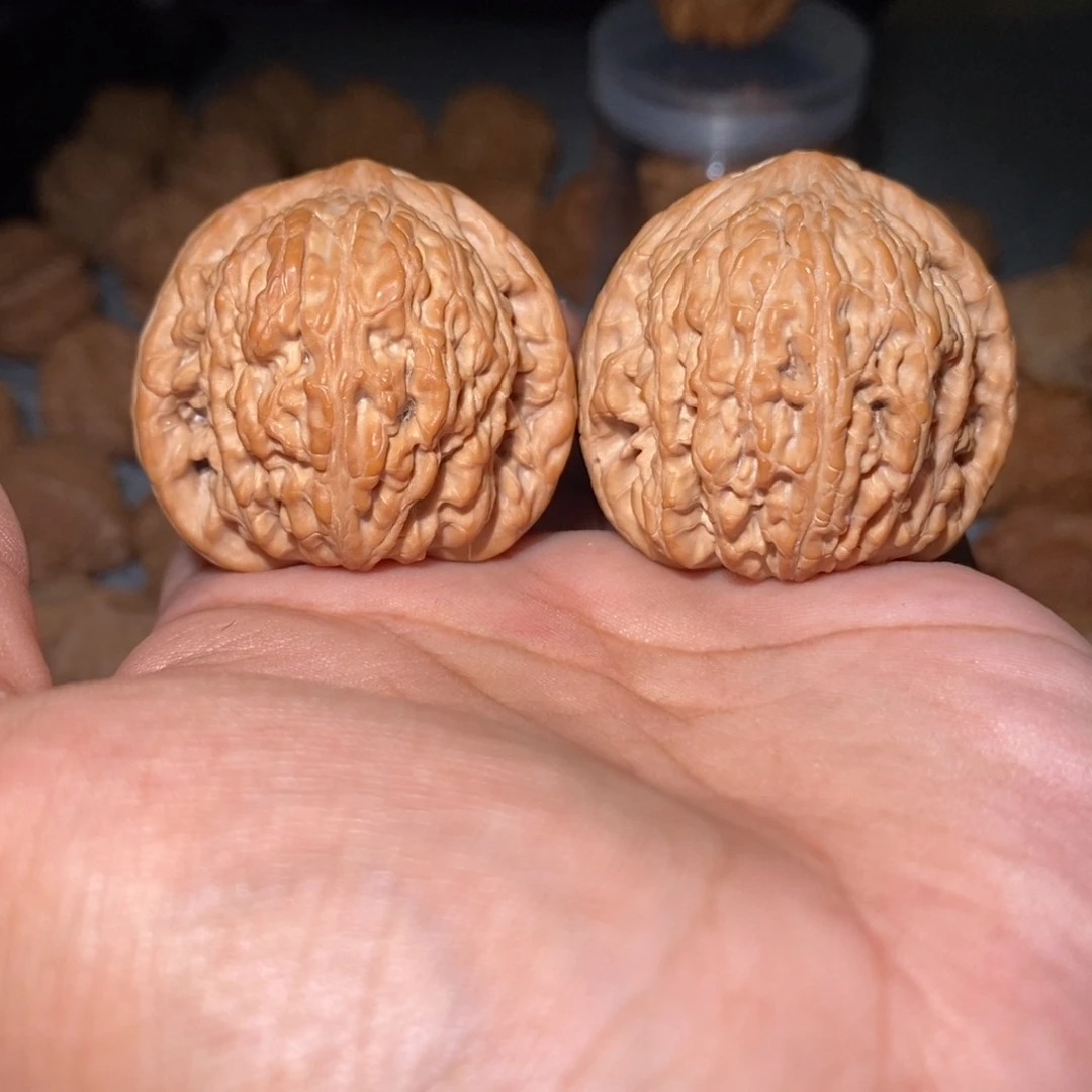 桃核吊坠41尺泥鳅背