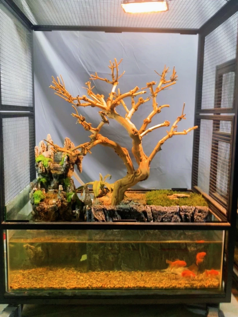 304不锈钢生态鸟笼