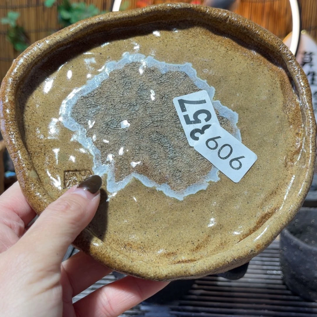 木村信弘柴烧保平