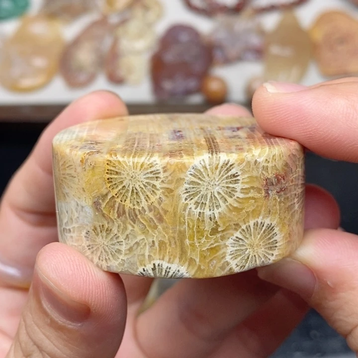 硅化玉手镯未镶嵌