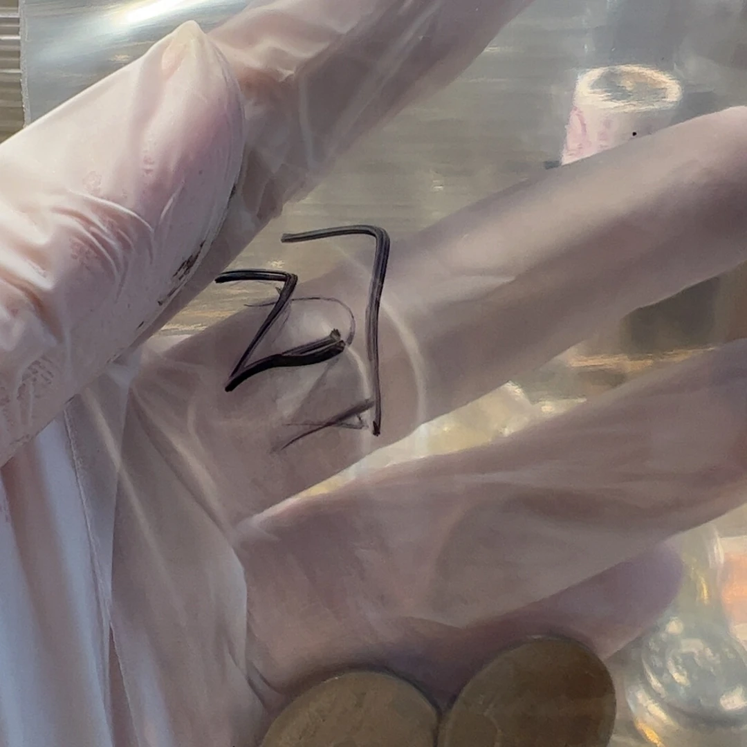 其他普通金属竹**香27号袋瑕疵