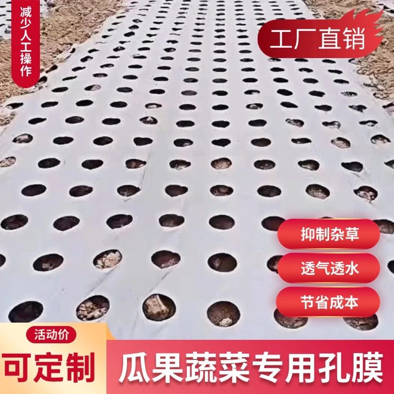 打孔银黑地膜塑料膜除草保温草莓蔬菜药材羊肚菌种植地膜农用薄膜