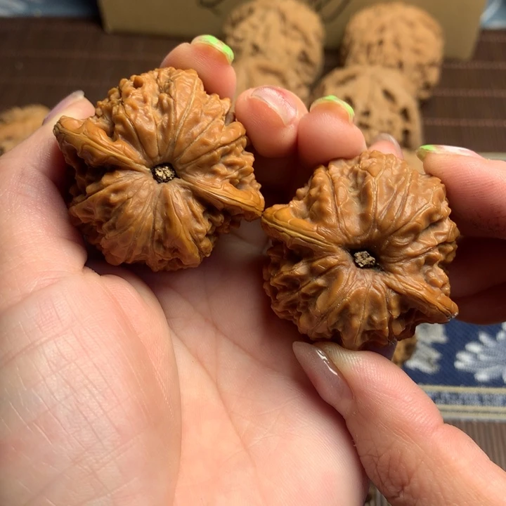 吊坠文玩核桃贝***。血麒麟