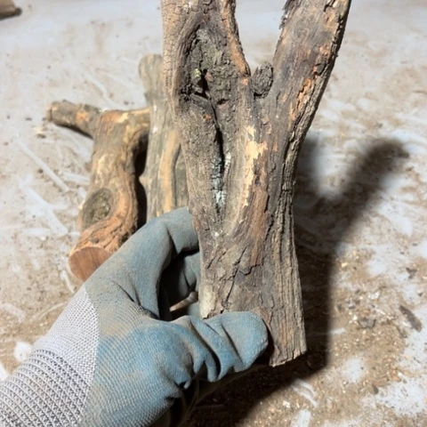 大果紫檀（缅甸花梨）嘀****嗒