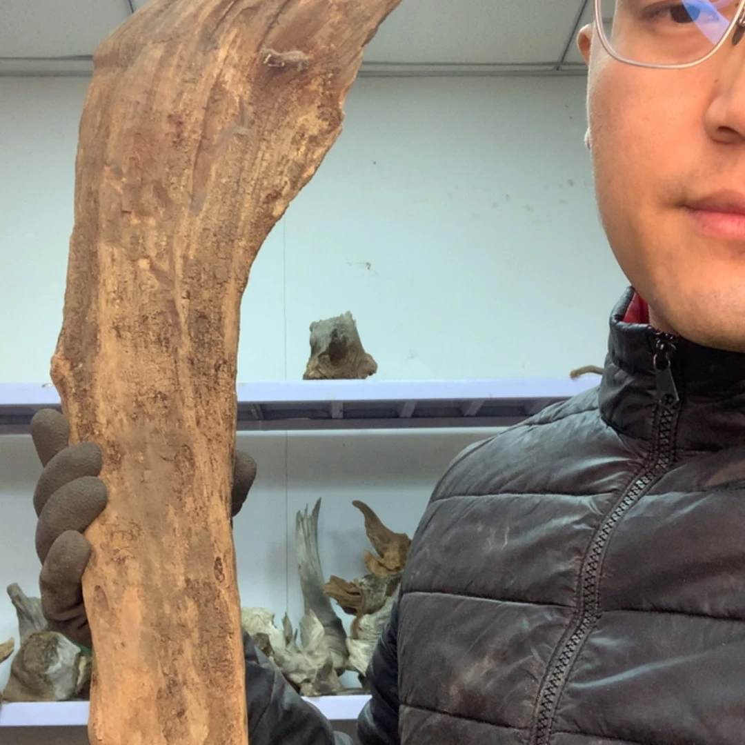 【闪购商品】有机玻璃虪