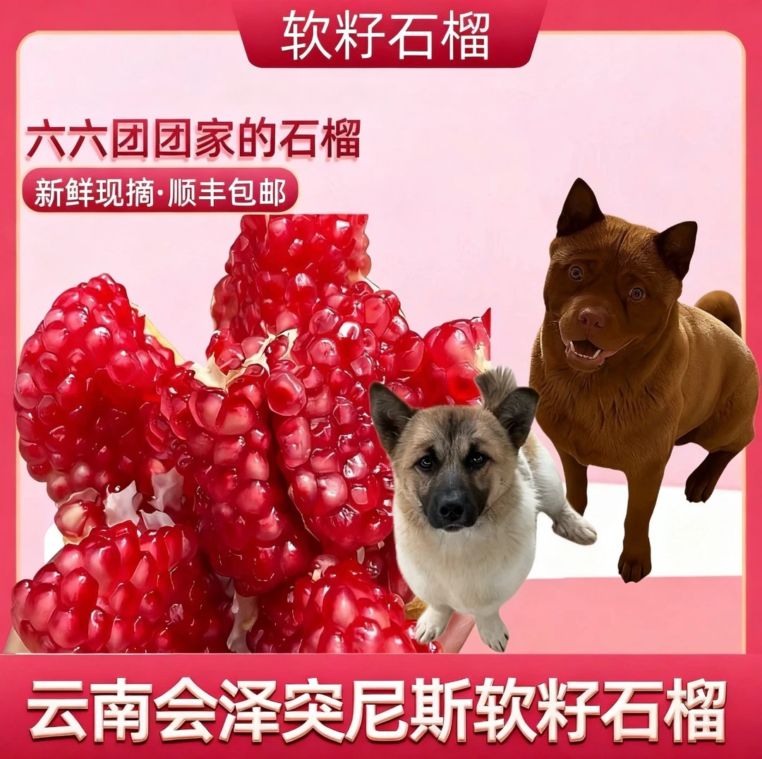 软籽石榴新鲜采摘粒粒爆汁现摘现发六团饭专属