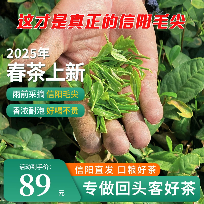 【口粮茶】2025新茶办公室绿茶耐泡信阳毛尖高山浓香茗茶茶叶信阳