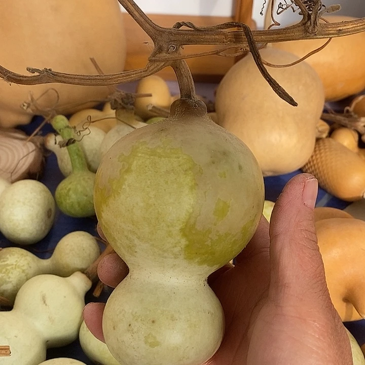 葫****青皮葫芦手把件摆件
