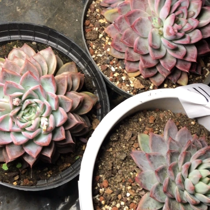 11//////////////////