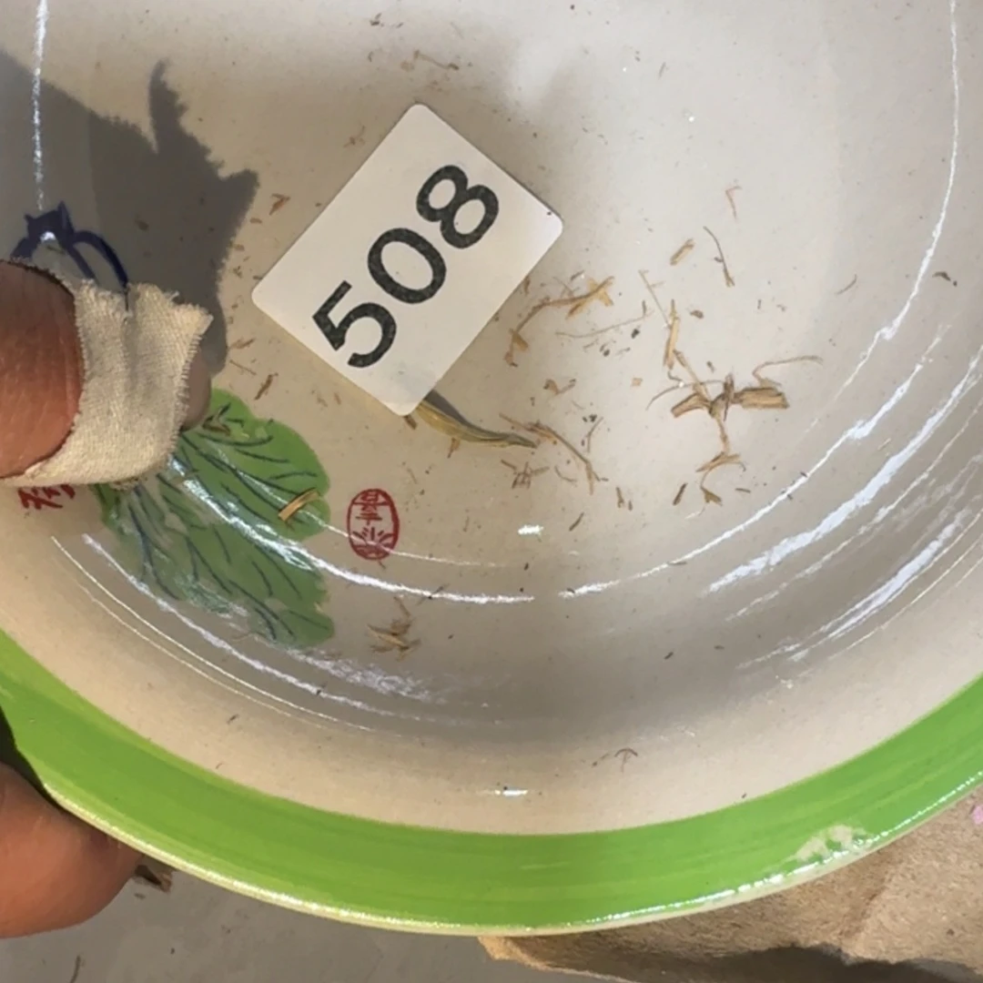 一***芳茶盏他还不让他回来的呢