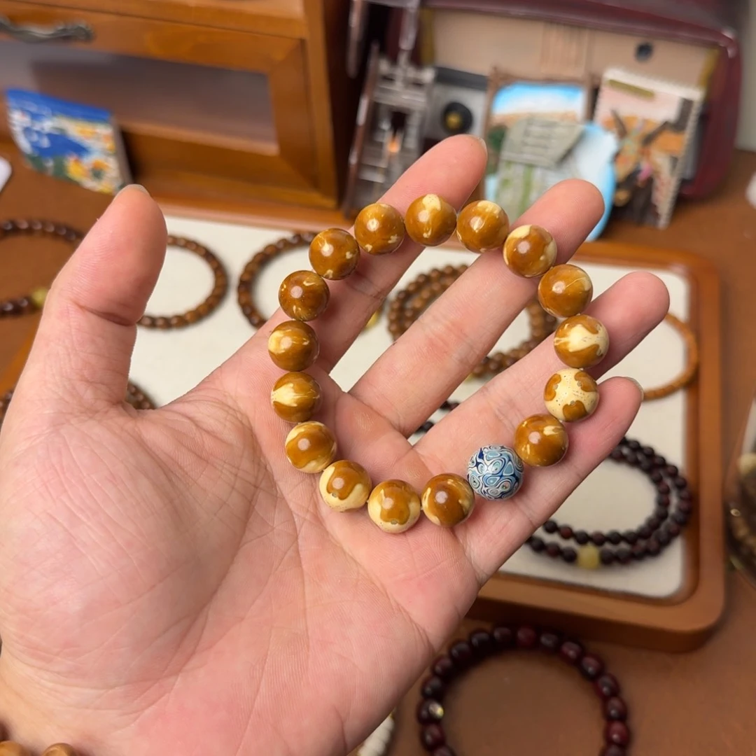 手串紫金鼠多样性的