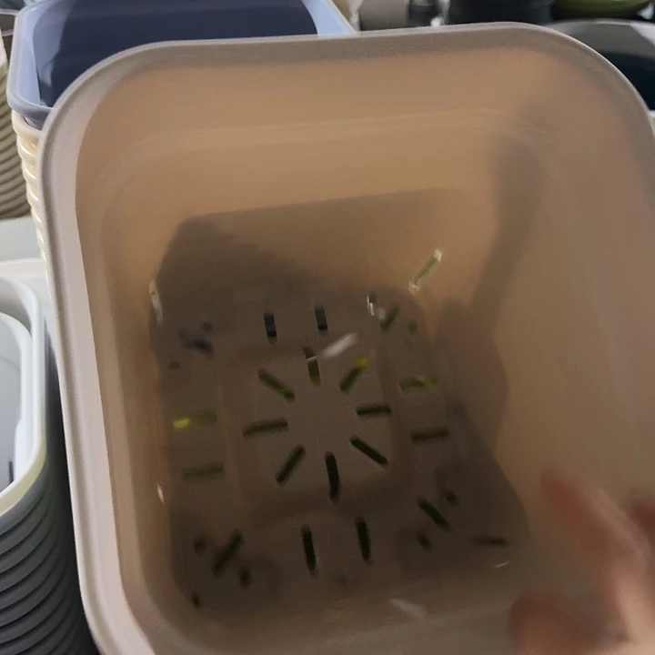 新款方盆口径25灰白无托5个