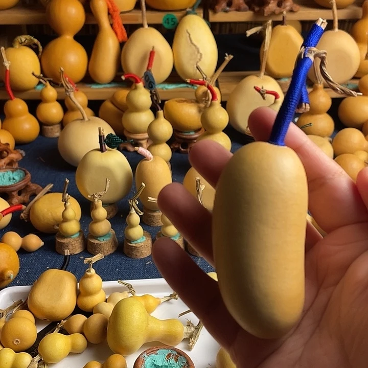 十****1111111111111111111