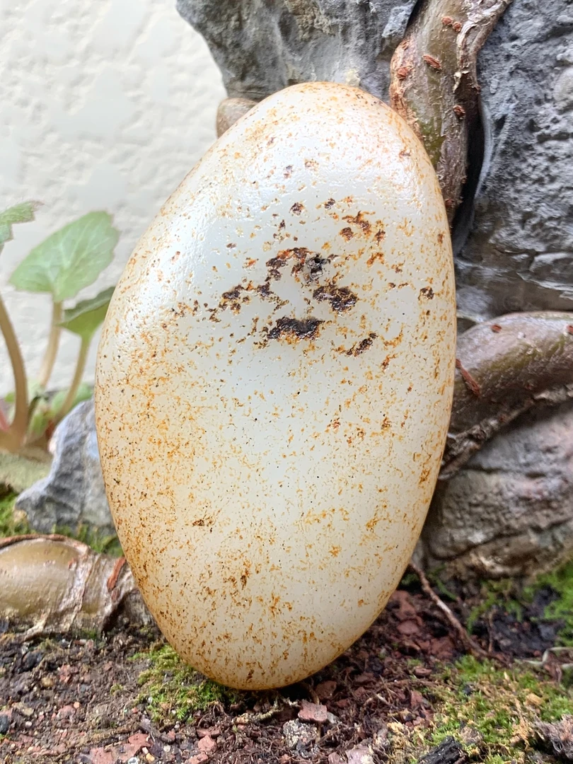 和田玉秋梨皮手把件，113克，79*45*20，货号02092，8358057