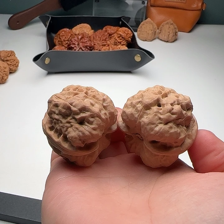 39-41-35肌肉蛙开背2号