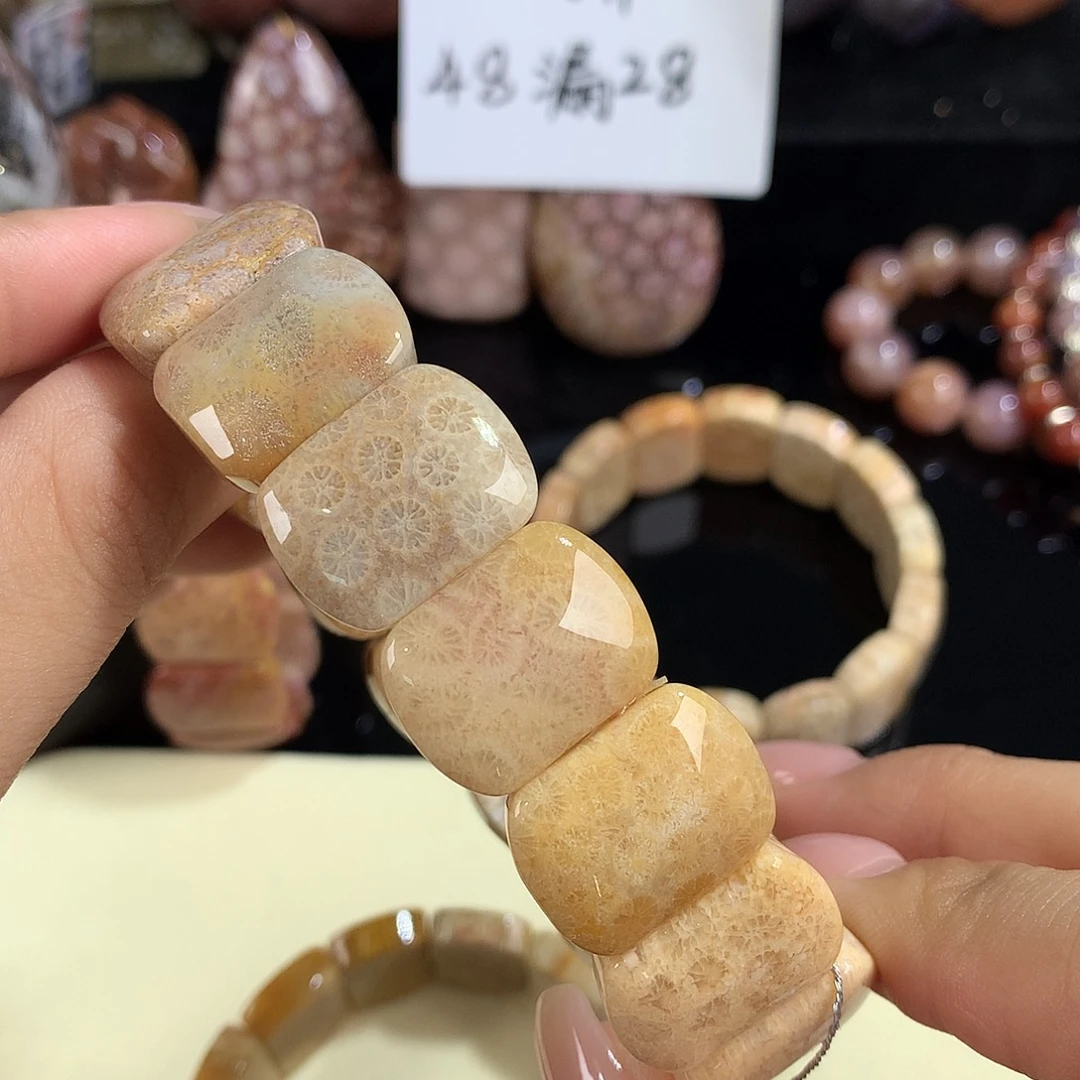 吊坠(赠链)未镶嵌硅化珊瑚（珊瑚玉）17号手排48漏28