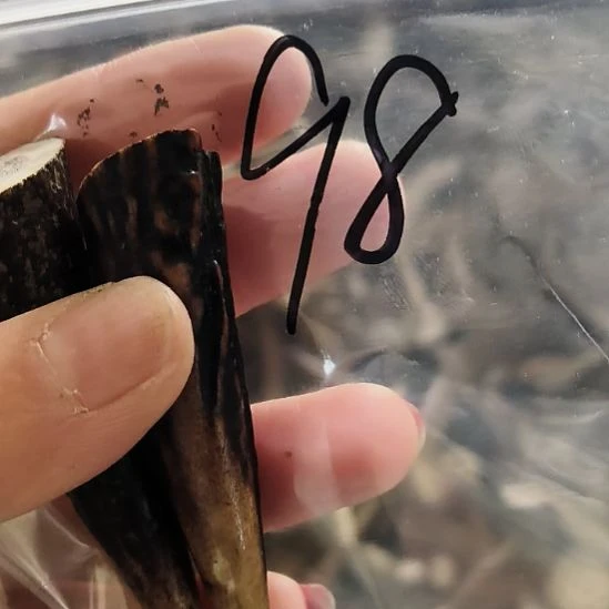 用***5鹿角鹿角鹿角鹿角鹿角鹿角