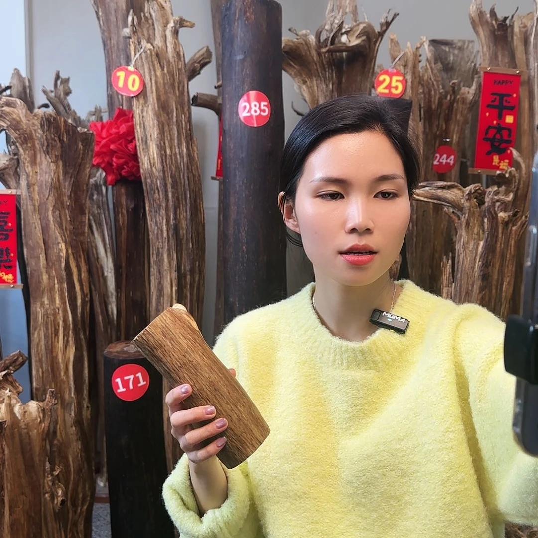 沉香木摆件沉香原木工艺品摆件➕底座