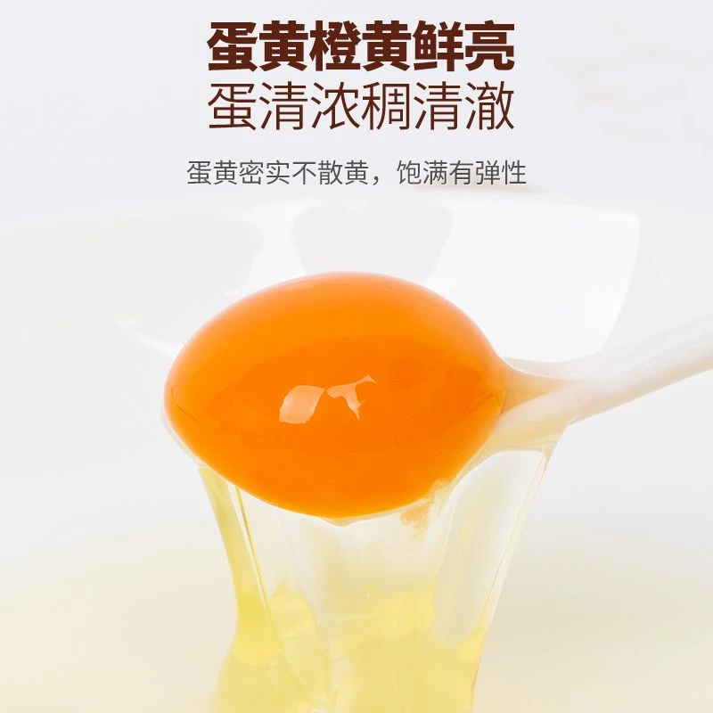 农家散养新鲜土鸡蛋