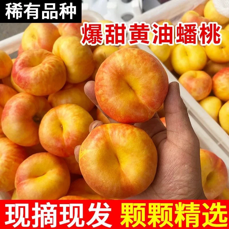 河南灵宝黄金油潘桃产地直发稀有品种香甜爆汁新鲜应季水果