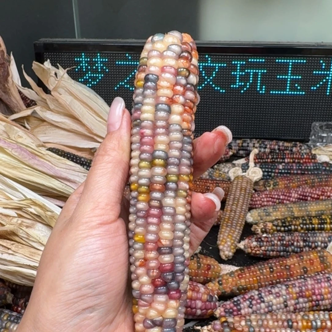 柏香籽/百香籽吊坠念*