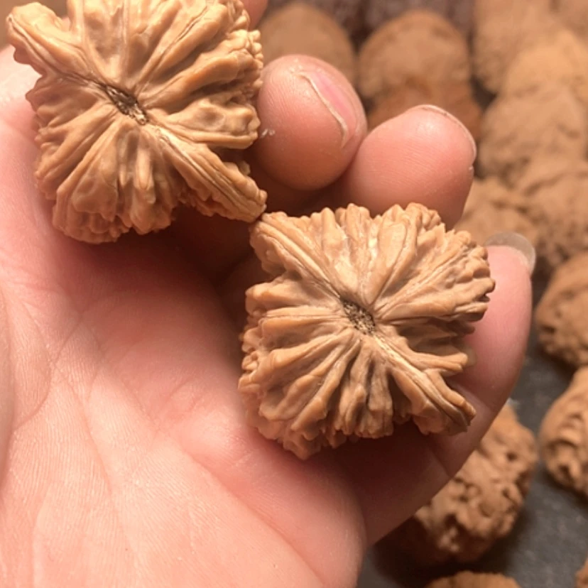 【闪购商品】猛*四座楼