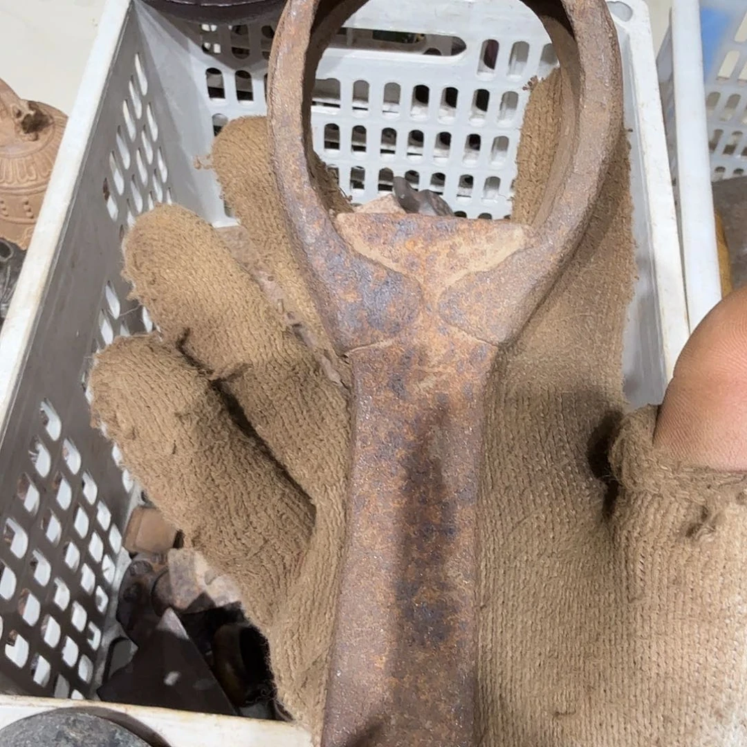 豆***豆一物一图，看好再拍