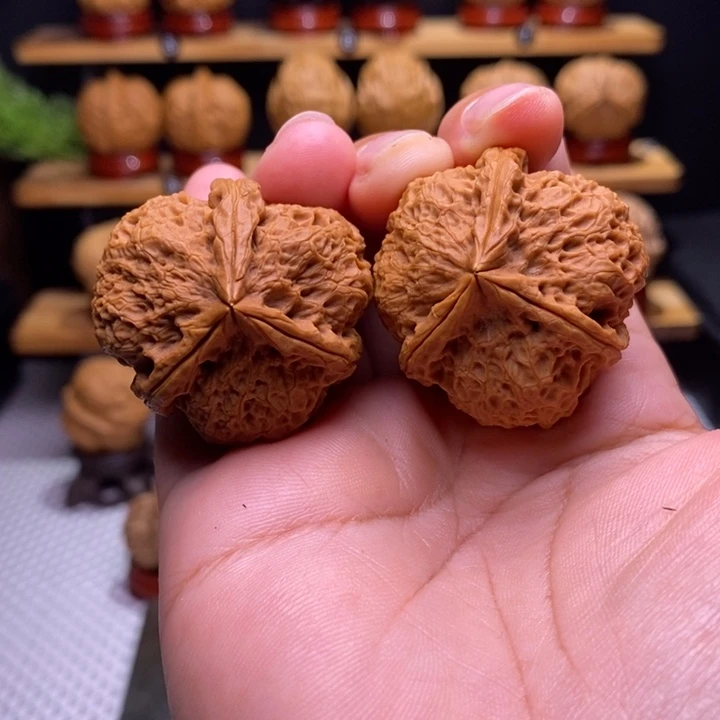 核桃云铁天狼三棱42号