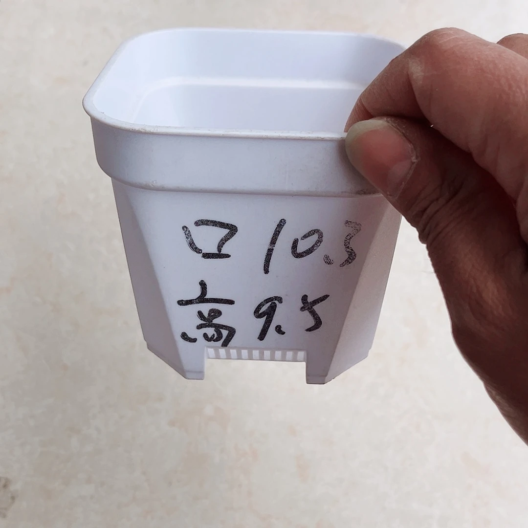 塑料加厚矮胖10方白色盆10个无托