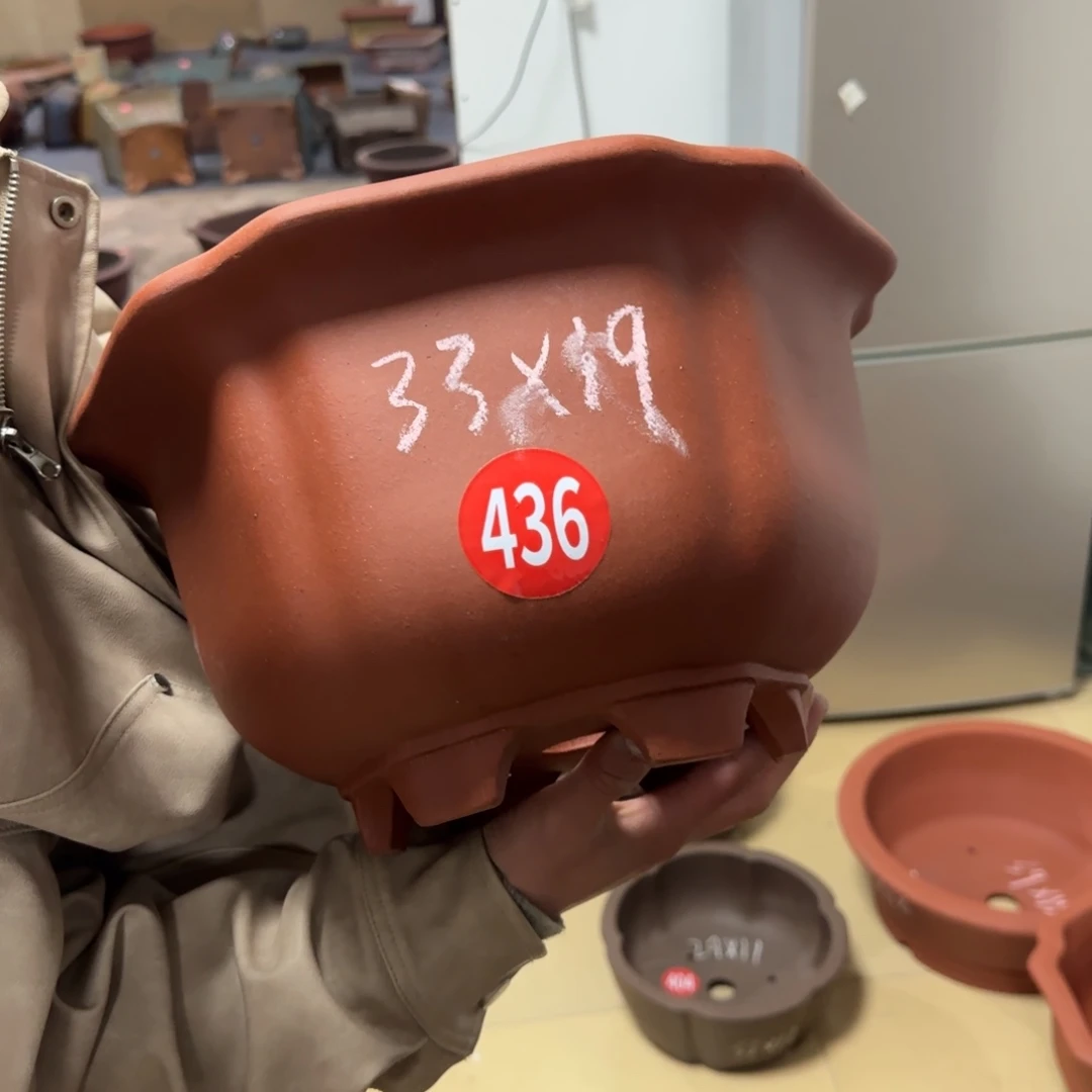 紫砂花盆呜呜呜呜