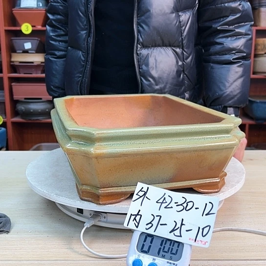 红陶恐**生紫砂花盆中花满