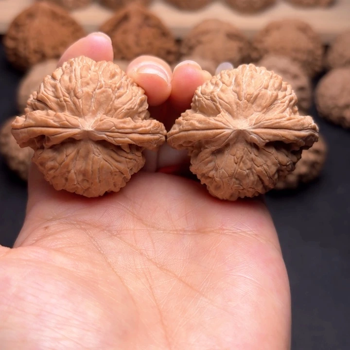 把件文玩核桃41白狮子