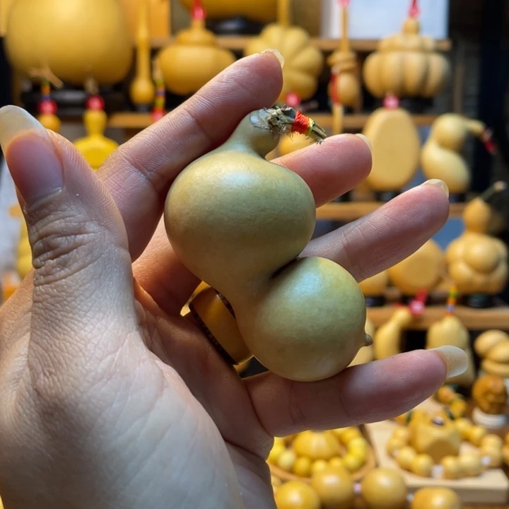 j***a天然葫芦自然生长