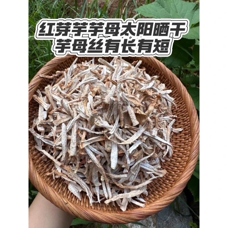 正宗江西红芽芋母丝当季现挖新鲜芋头农家自做芋母丝