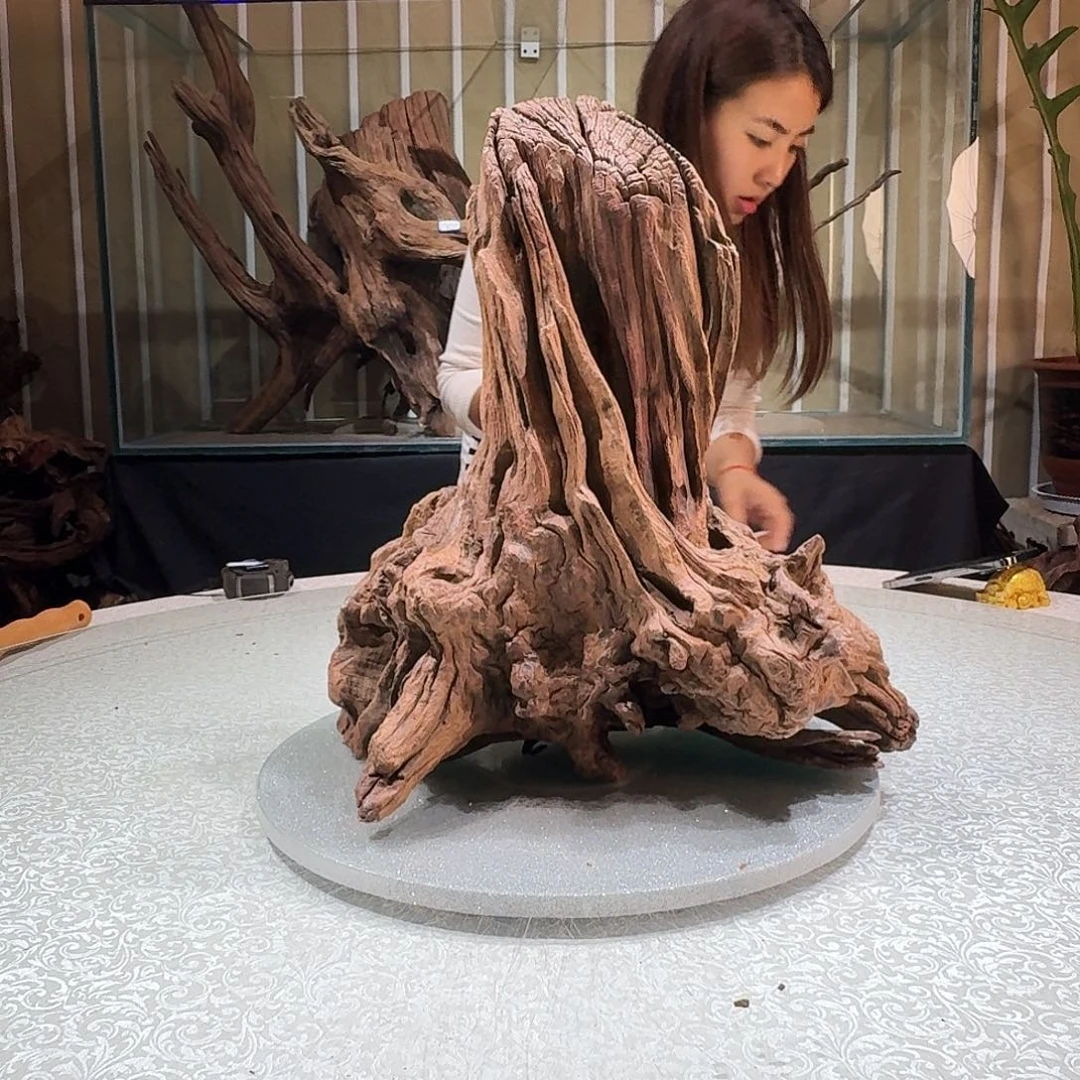 归***聚一物一拍鱼缸造景